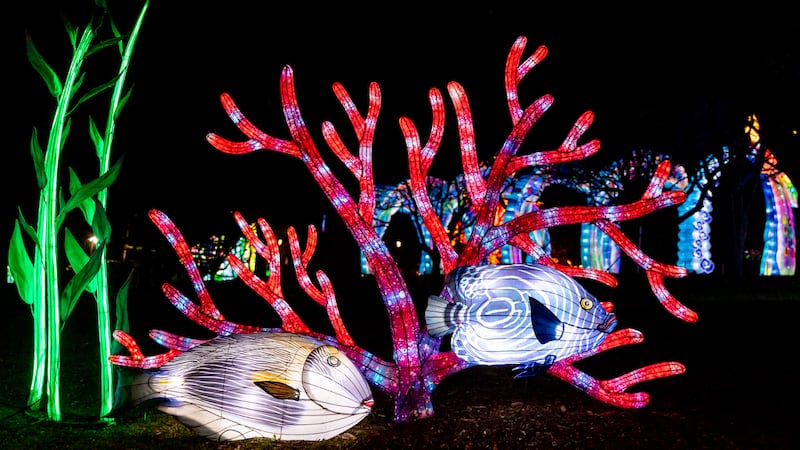 Events: Weekend before Christmas full of lights, music, circus